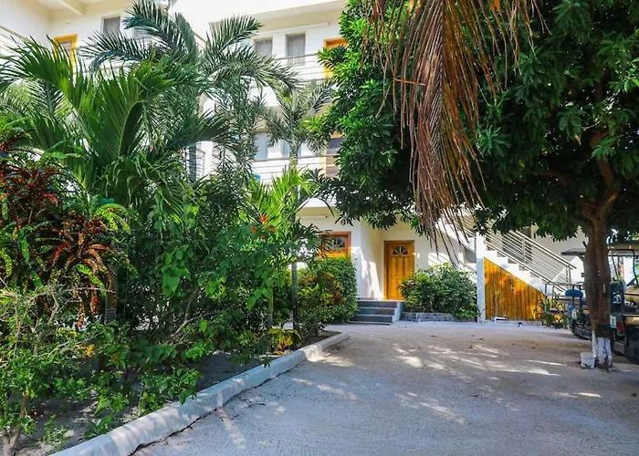 Сasa de vacaciones Serene Oceanfront With Shared Pool Ocean View Wifi & Partial Ac San Pedro (Ambergris Caye)