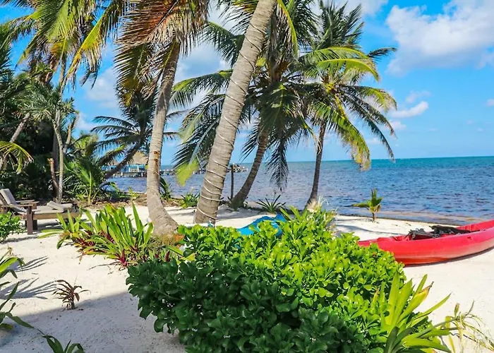 Serene Oceanfront With Shared Pool Ocean View Wifi & Partial Ac Сasa de vacaciones San Pedro (Ambergris Caye)
